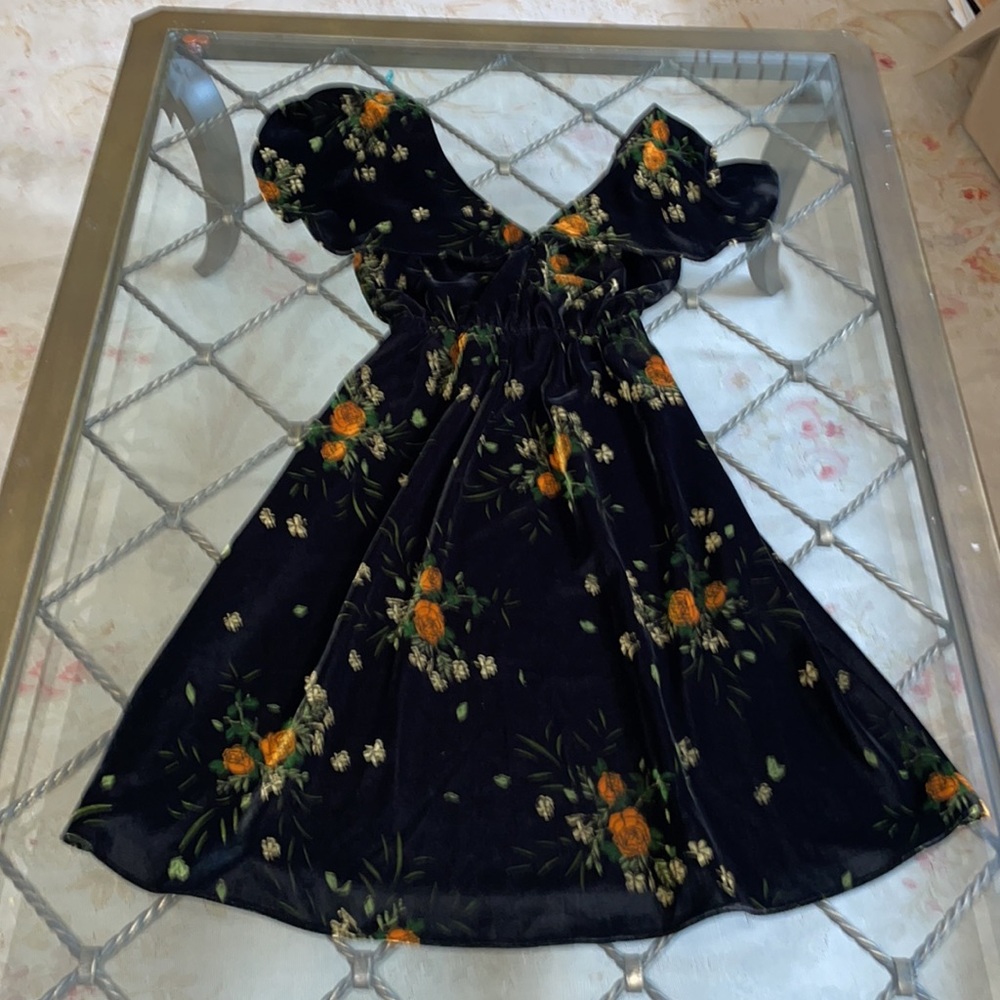 Zara vintage floral printed velvet dress - Picture 2 of 5
